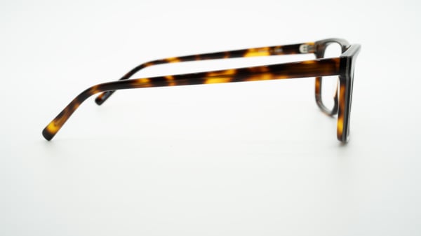 Tortuga negra Darell de Frame Fiesta