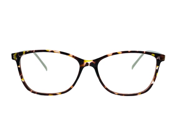 Mejora EN4315 Tortuga de otoño