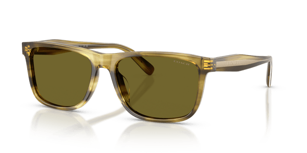Coach HC8454U Striated Olive