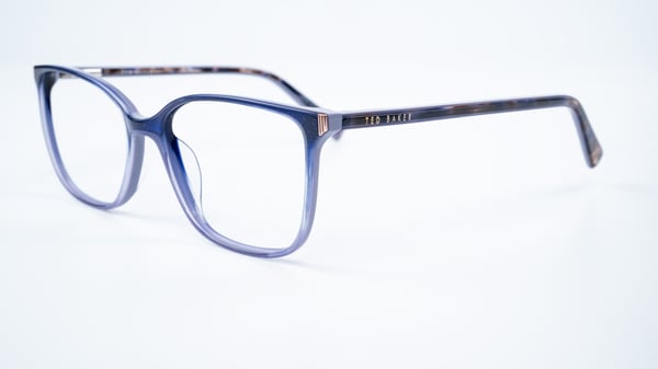 Ted Baker TFW024 Purple