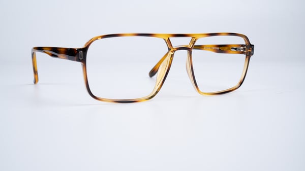 Enhance 4581 Tortoise
