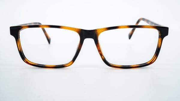 Canny Vision Wyatt Tortoise