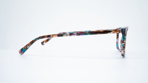 Elegante tortuga azul Leslie