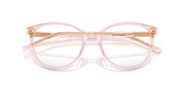 Dolce&Gabbana DG3425 Transparent Rose