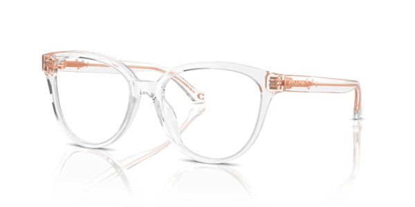 Coach HC6234U Transparent Clear
