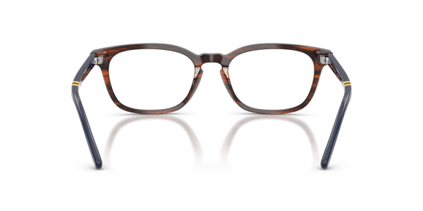 Polo Ralph Lauren PH2294 Shiny Striped Brown
