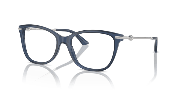 Jimmy Choo JC3007HB Transparent Blue
