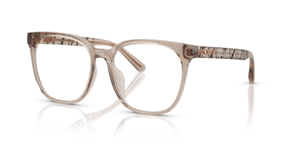 Coach HC6267D Transparent Khaki