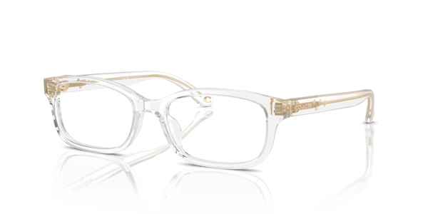 Coach HC6233U Transparent Clear