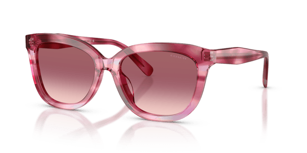 Coach HC8453U Purple Cosmo Tortoise