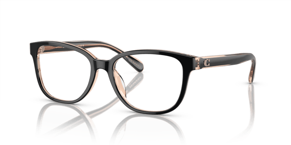 Coach HC6224U Black/Transparent Blush