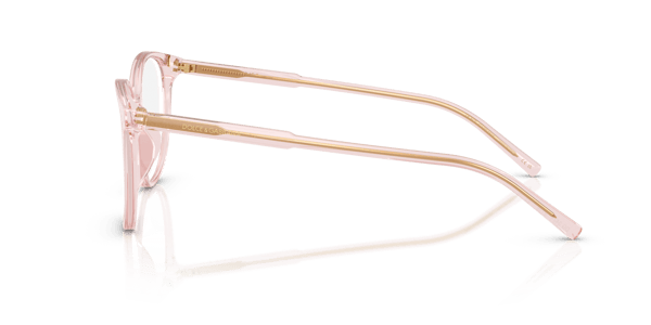 Dolce&Gabbana DG3425 Transparent Rose
