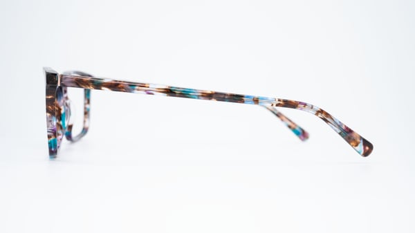 Elegante tortuga azul Leslie