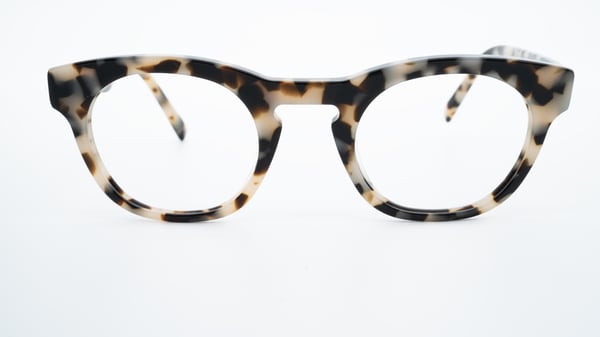 success:xpl Charlie Tortoise