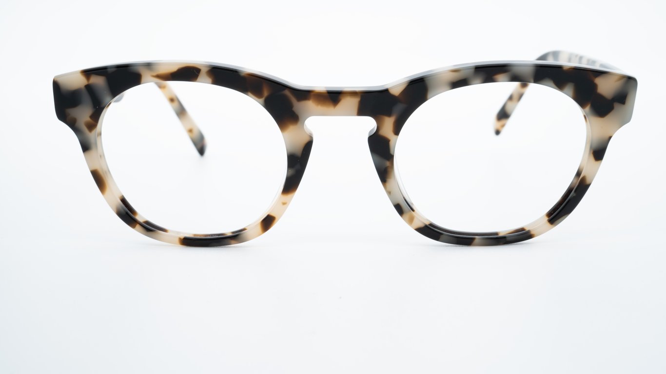 success:xpl Charlie Tortoise