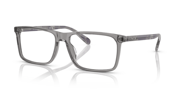 Coach HC6251U Transparent Grey