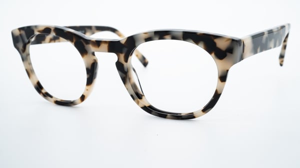 success:xpl Charlie Tortoise