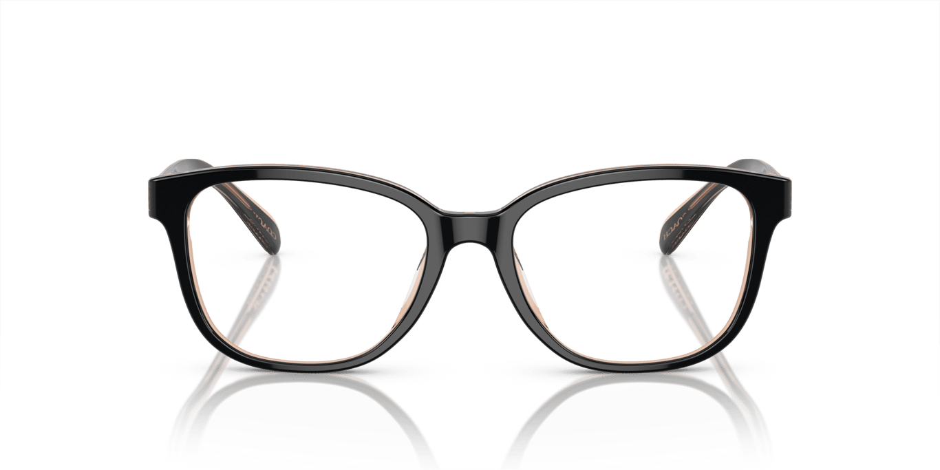 Coach HC6224U Black/Transparent Blush