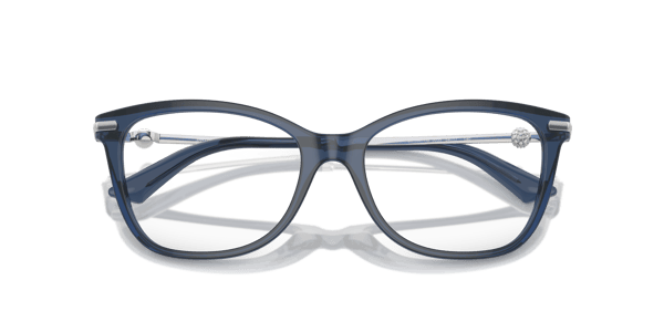 Jimmy Choo JC3007HB Transparent Blue