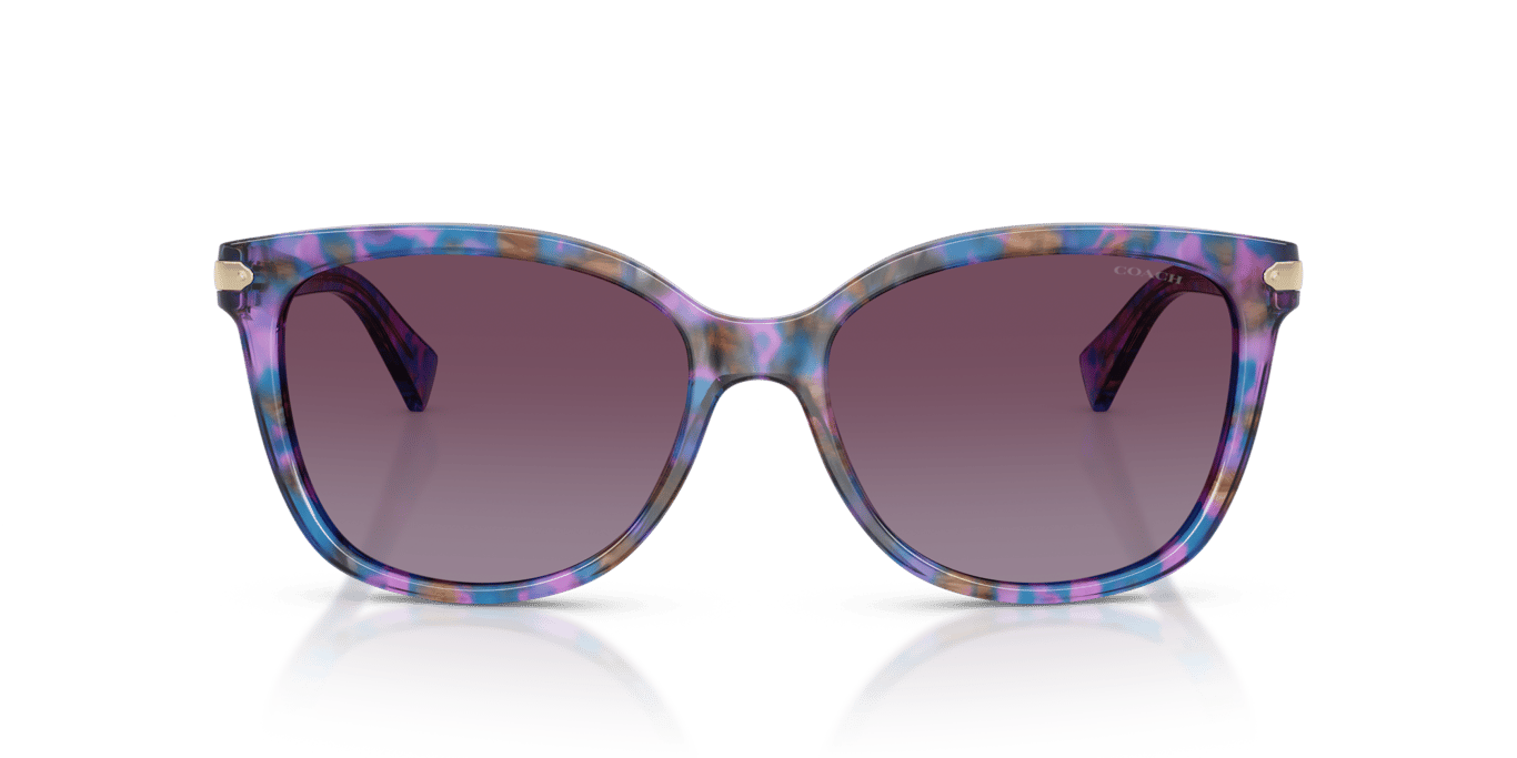 Coach HC8132 Purple Confetti Tortoise