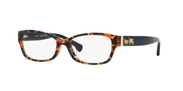 Coach HC6078 Teal Confetti Tortoise