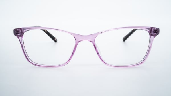 Clear Vision Purple Transparent Tort