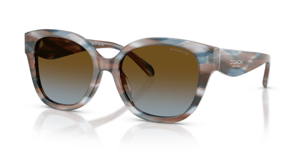 Coach HC8438U Striated Maple/Blueberry