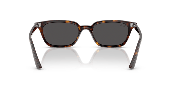 Ray-Ban RB4456 Havana