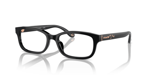 Coach HC6233U Black