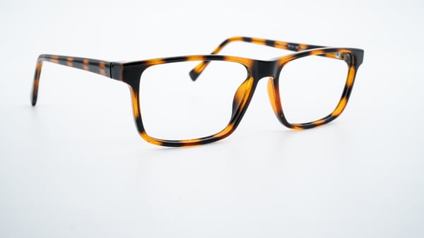 Canny Vision Wyatt Tortoise