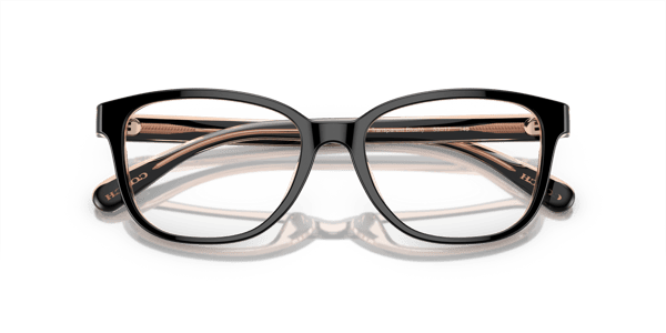 Coach HC6224U Black/Transparent Blush