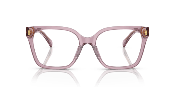 Ralph Lauren RA7158U Shiny Transparent Violet