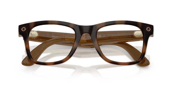 Ray-Ban Meta RW4011V Polished Havana/Demo Lens