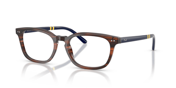 Polo Ralph Lauren PH2294 Shiny Striped Brown