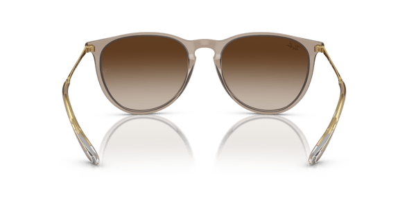 Ray-Ban RB4171 Transparent Light Brown