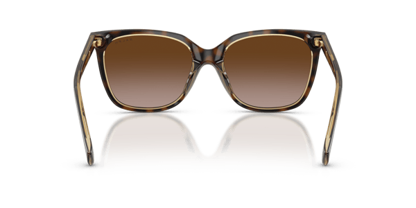 Ralph Lauren RA5343U Dark Havana On Transparent