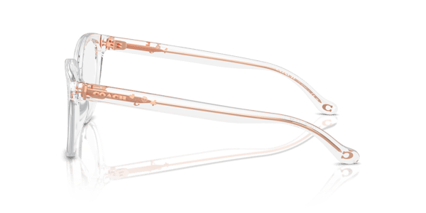 Coach HC6234U Transparent Clear