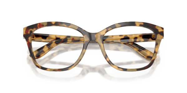Dolce&Gabbana DG3451 Yellow Havana