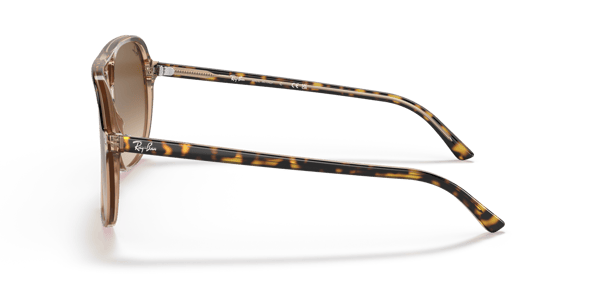 Ray-Ban RB2198 Havana On Transparent Brown