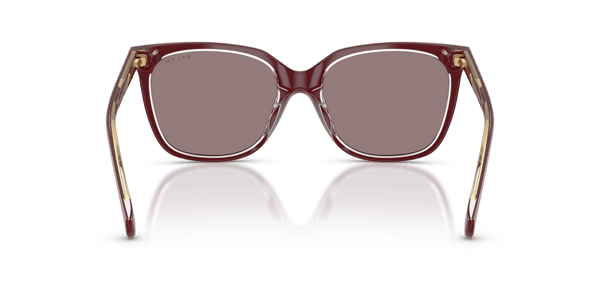 Ralph Lauren RA5343U Burgundy Transparent