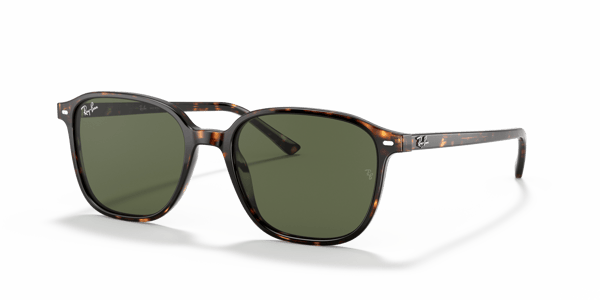 Ray-Ban RB2193 Tortoise