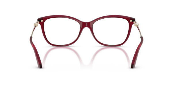 Jimmy Choo JC3007HB Transparent Red