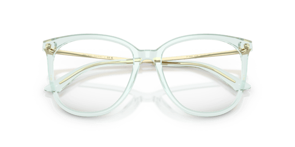 Jimmy Choo JC3060 Transparent Green