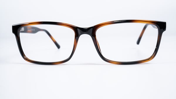 Enhance 4038 Tortoise