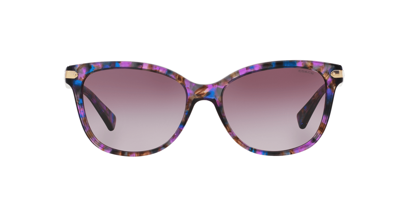 Coach HC8132 Purple Confetti Tortoise