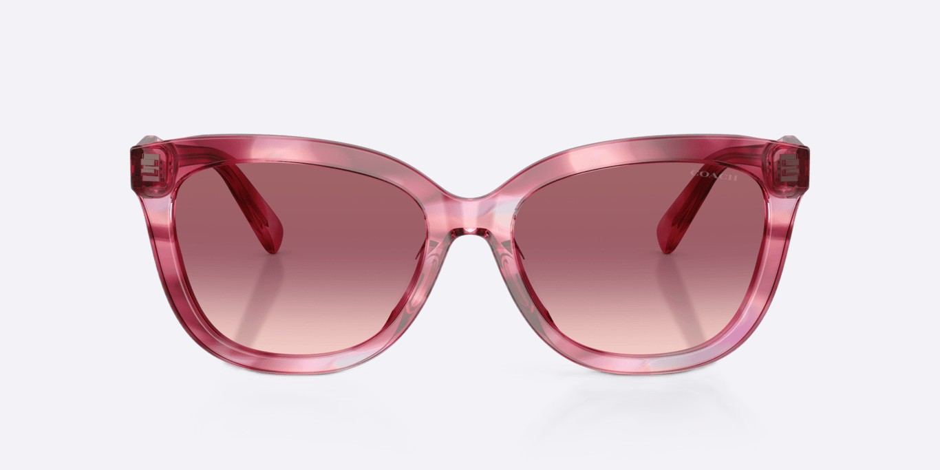 Coach HC8453U Purple Cosmo Tortoise