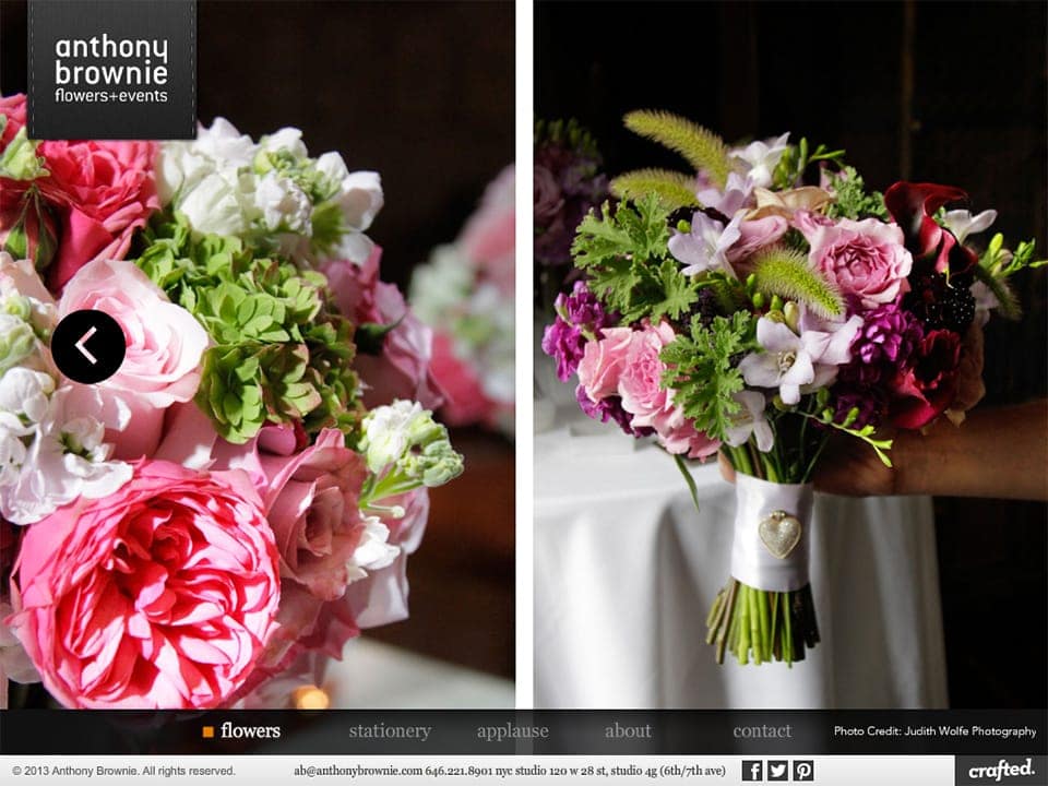 anthony-brownie-anthony-brownie-