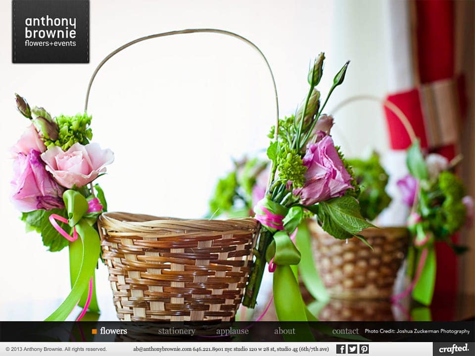 anthony-brownie-anthony-brownie-