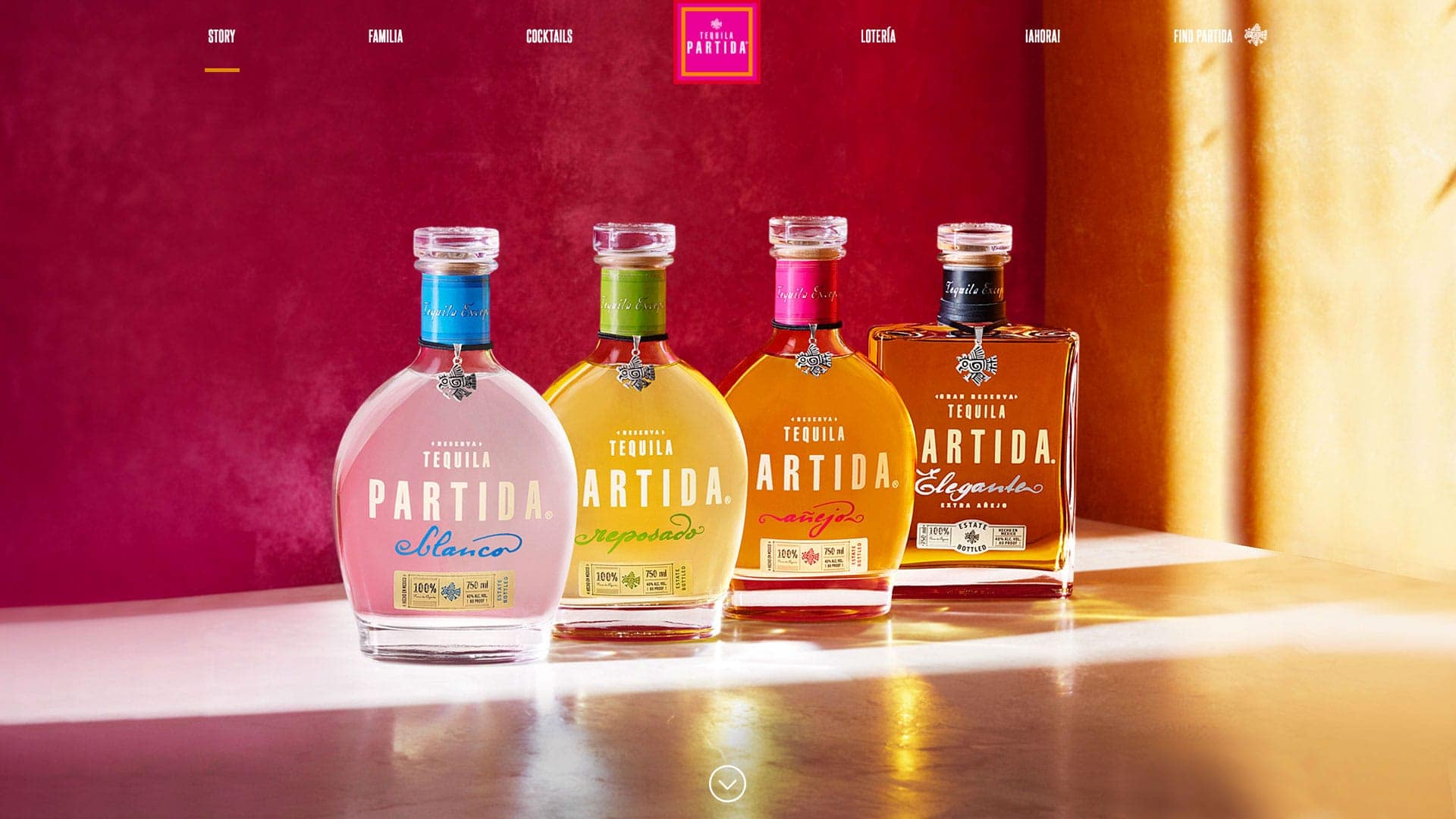 digital-marketing-website-design-partida-01