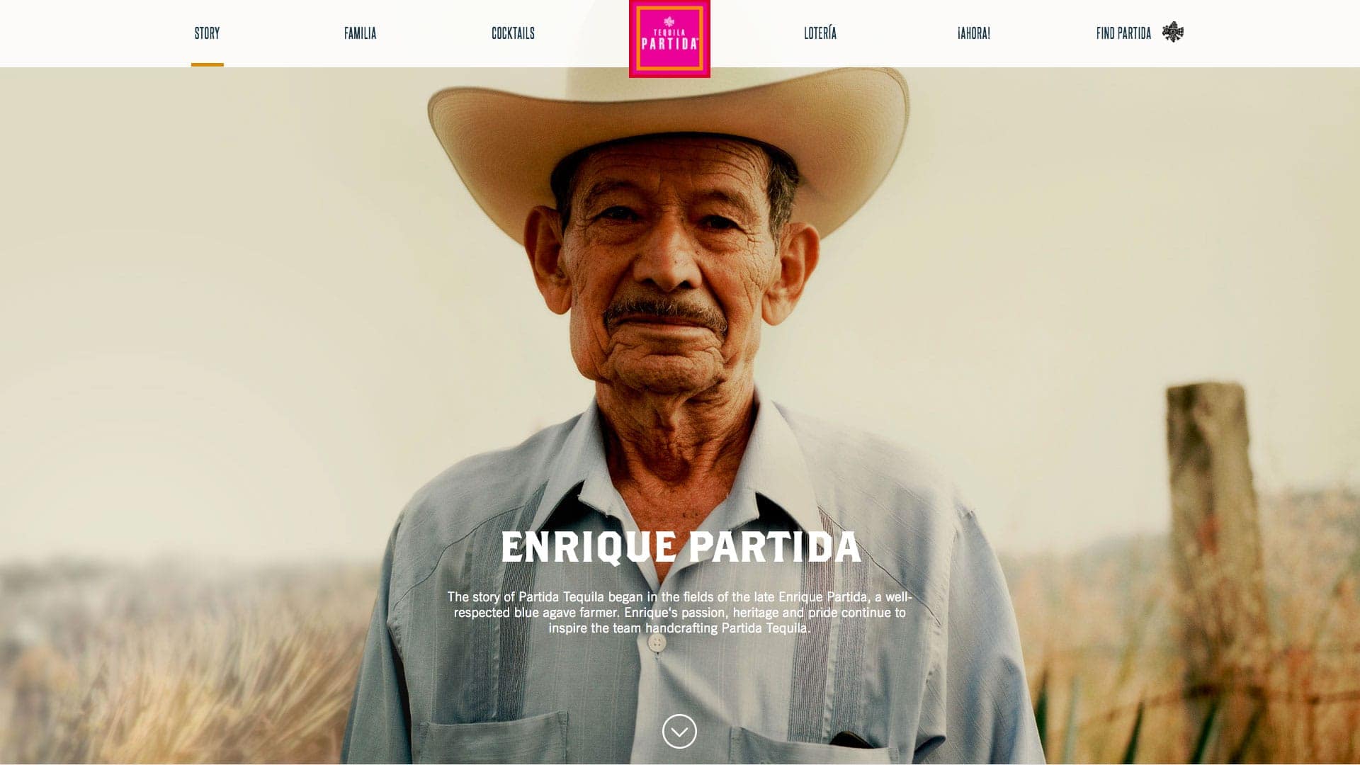 digital-marketing-website-design-partida-02